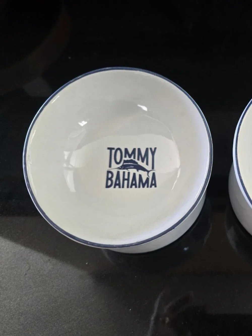 2 Tommy Bahama Pet Bowls